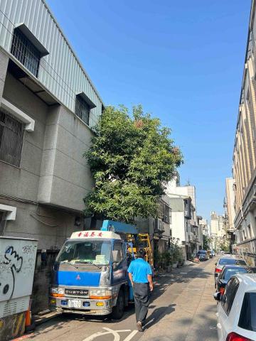 曉柒園藝 - 施工前