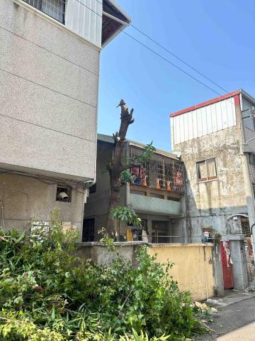 曉柒園藝 - 施工后