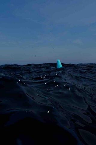 牛筱瑄 - 3D 海洋效果