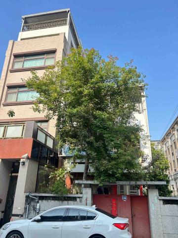 曉柒園藝 - 施工前