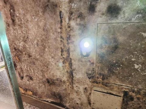 王燕 - 清潔前天花板長黴菌