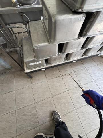 展鴻環保科技企業社 - 鳳山軍事院校伙房定期病媒鼠害防治