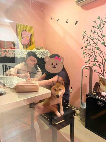 楊老師 - 溫馨上課氛圍