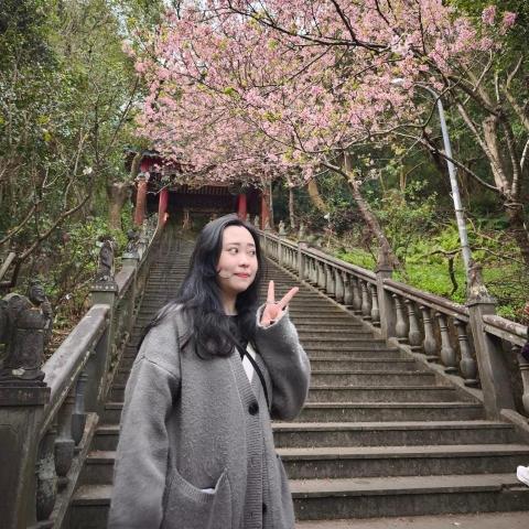 白卉君 白卉君