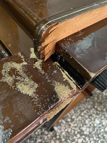 展鴻環保科技企業社 - 乾木白蟻（截頭堆砂白蟻）防治