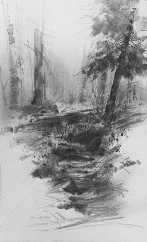 Han studio  邱柏翰 - 你不需要昂貴的工具，也能輕鬆體驗畫畫的成就感：

●用樸素的鉛筆，畫出具有層次感的自然景物

●學習有效的構圖技巧，掌握畫面的重點

●透過簡單筆法，就能營造出令人著迷的氛圍

? 適合完全沒畫畫經驗或想加強基礎的你！
立即點擊預約上課，享受用鉛筆畫畫的樂趣吧