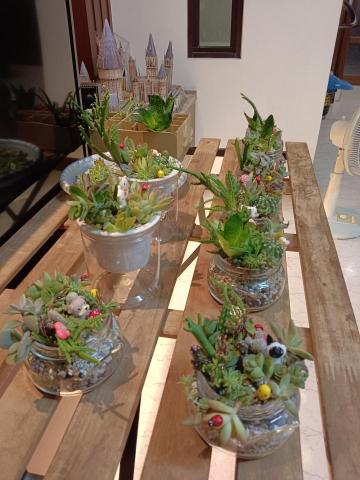 Maggie - 多肉課程作品