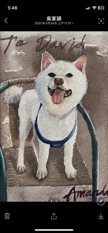 吳家潁 -  寵物 水彩