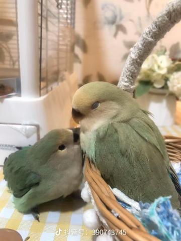 提供電腦組裝服務的專家銘電腦