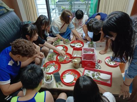 Maggie - 多肉植物盆栽造景課程