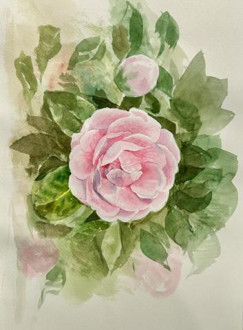 曹育愷 - 水彩作品範例