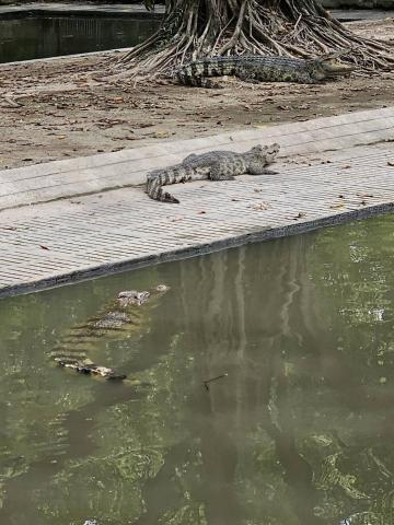 張菀真 - 愛旅遊~