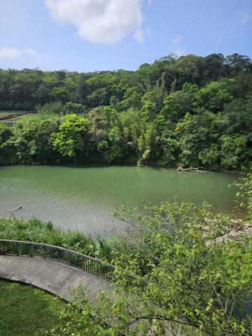 陳慶峰 - 觀光客包車旅遊-十分瀑布