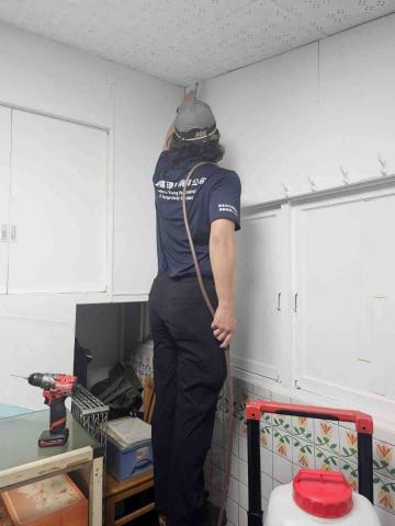 迦揚環衛消毒公司 - 除白蟻首重動線防治，整棟建物都需納入才對！