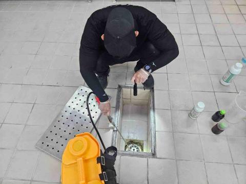 迦揚環衛消毒公司 - 餐廳德國蟑螂專業防治，達到一隻不剩的成效