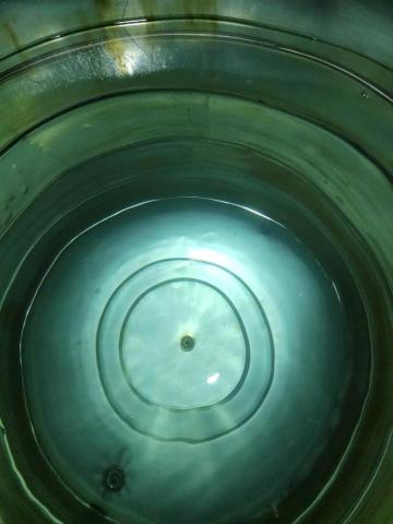 順欣水電有限公司 - 