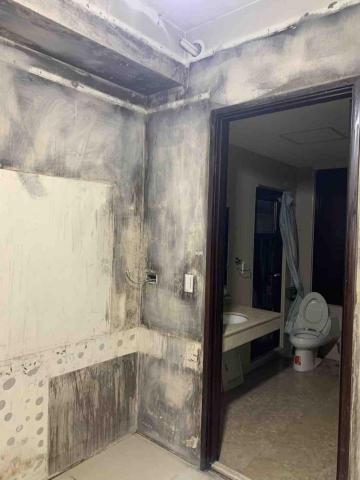 漆達人 - 火災前