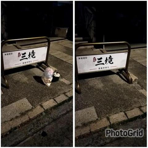 翔清運 代收垃圾服務 - 豐富路299巷 張小姐 包月服務