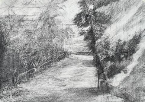 游家昱 - 教師作品5 (炭筆素描)