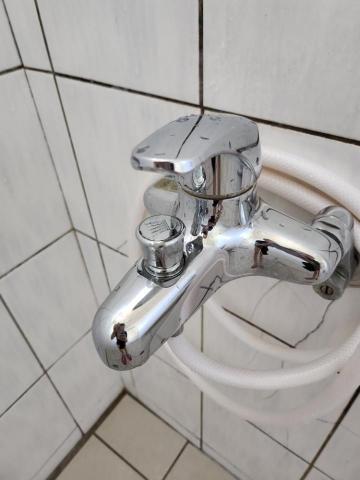 米爾塔空間精靈•專家🌿 - 