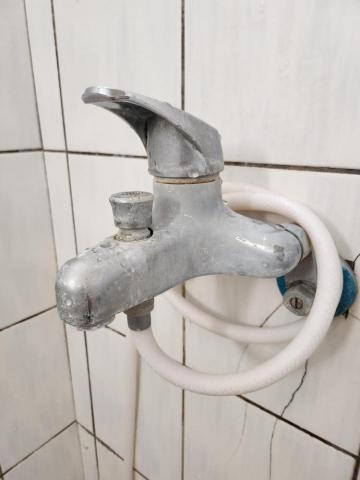 米爾塔空間精靈•專家🌿 - 