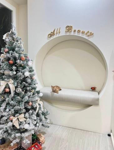 All Beauty • 中壢複合式美學空間 - 