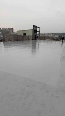 鴻林黃（King） - 聚尿面漆第二層