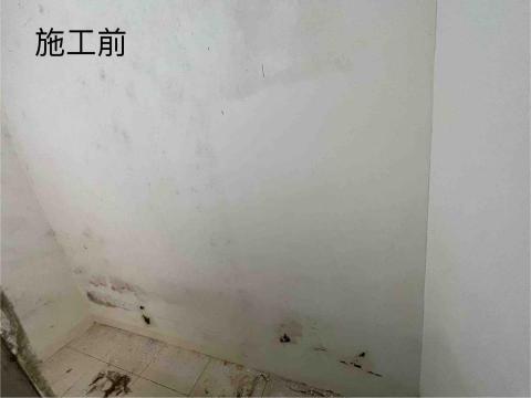 達人藝術塗料 - 