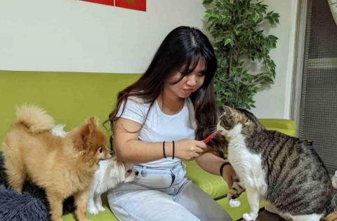 小太陽全職寵物保姆🔅到府照顧&middot;細心呵護🐾《2025整年都開放 - 