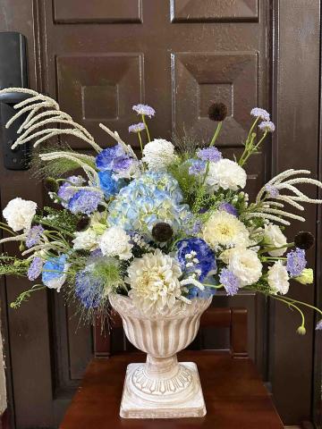 植感物語 -  植感物語 -