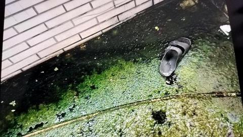 柚子清潔工作室 - 4/19日下午兩點幫客人清理的陽台，她傳給我的照片之1