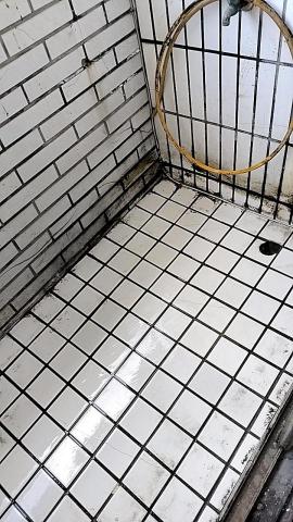 柚子清潔工作室 - 4/19下午幫客人清理，排水不通積水生青苔，黑垢的陽台，她說已2年了