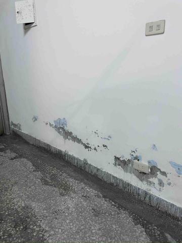 打工仔 - 壁癌處理