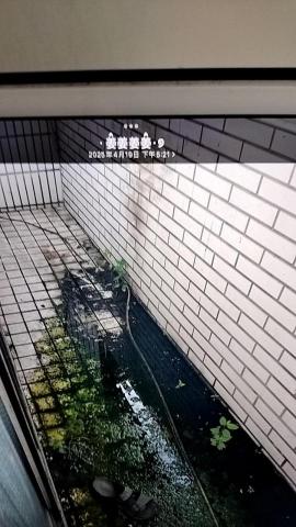 柚子清潔工作室 - 4/19日下午兩點，幫客人清理的陽台之2