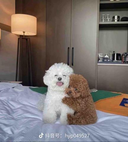 提供55服務的專家蔡瑋宸