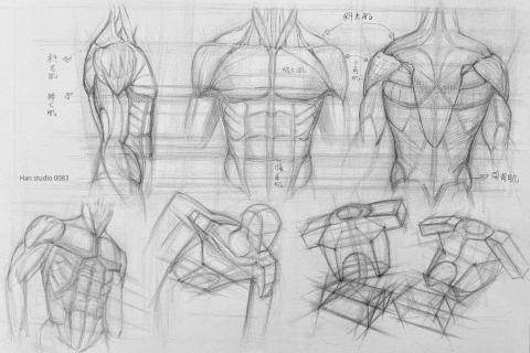 Han studio  邱柏翰 - 無論你是想畫人體的初學者或已經有一定畫畫基礎，
掌握『上胸』的核心結構，
能提升人物畫面的結構性與視覺張力效果：

˙明確的結構線條與透視技法

˙輕鬆掌握人體空間感與立體感

˙掌握動態姿勢的結構變化

點擊洽詢立即預約課程，讓你的人體繪畫技能更上一層樓

