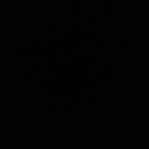 提供123服務的專家林依依