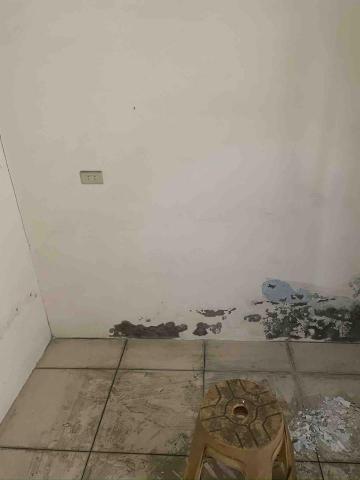 打工仔 - 牆體黴菌