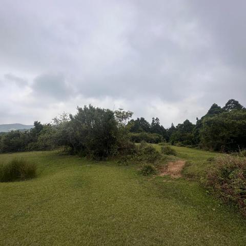 提供電子音樂edm服務的專家陳奕安