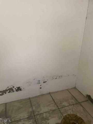 打工仔 - 牆體黴菌