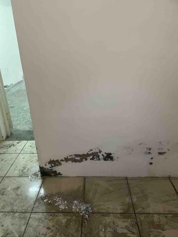 打工仔 - 牆體黴菌