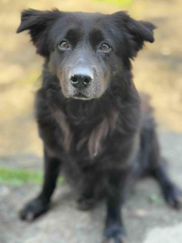 小可遛遛隊 - 胖胖