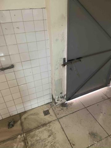 打工仔 - 牆體黴菌
