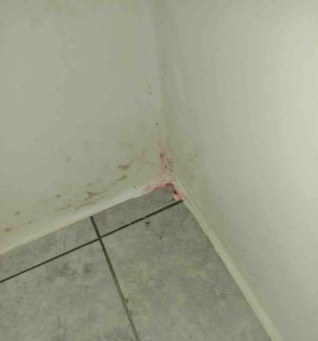 旭創檢測抓漏、全達防水 - 