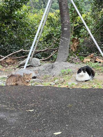 提供回收宜蘭服務的專家保潔專業清潔