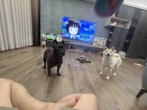 姜先生 - 室內空間