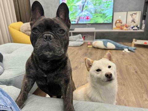 姜先生 - 室內空間