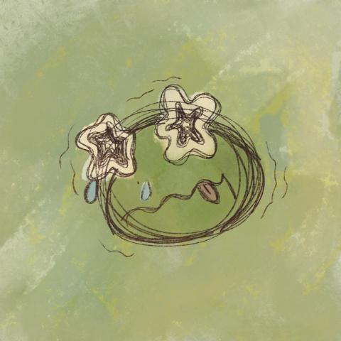 提供收纳桶服務的專家一隻羊