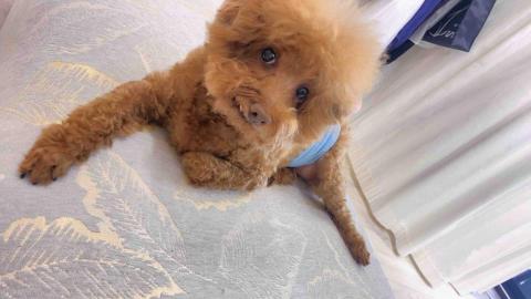 良得消毒病媒防治 - 