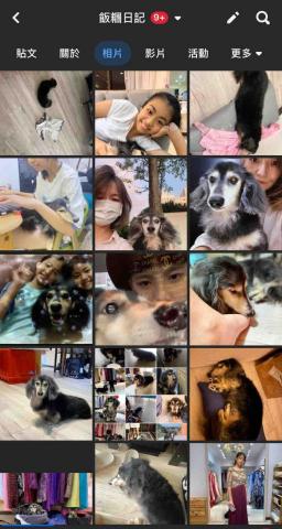 良得消毒病媒防治 - 